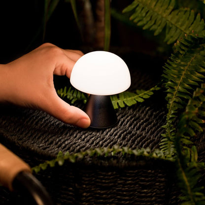 IZI Lexon Mina mini LED Lamp: 12hr Battery, Dual Light, USB-C - IZI