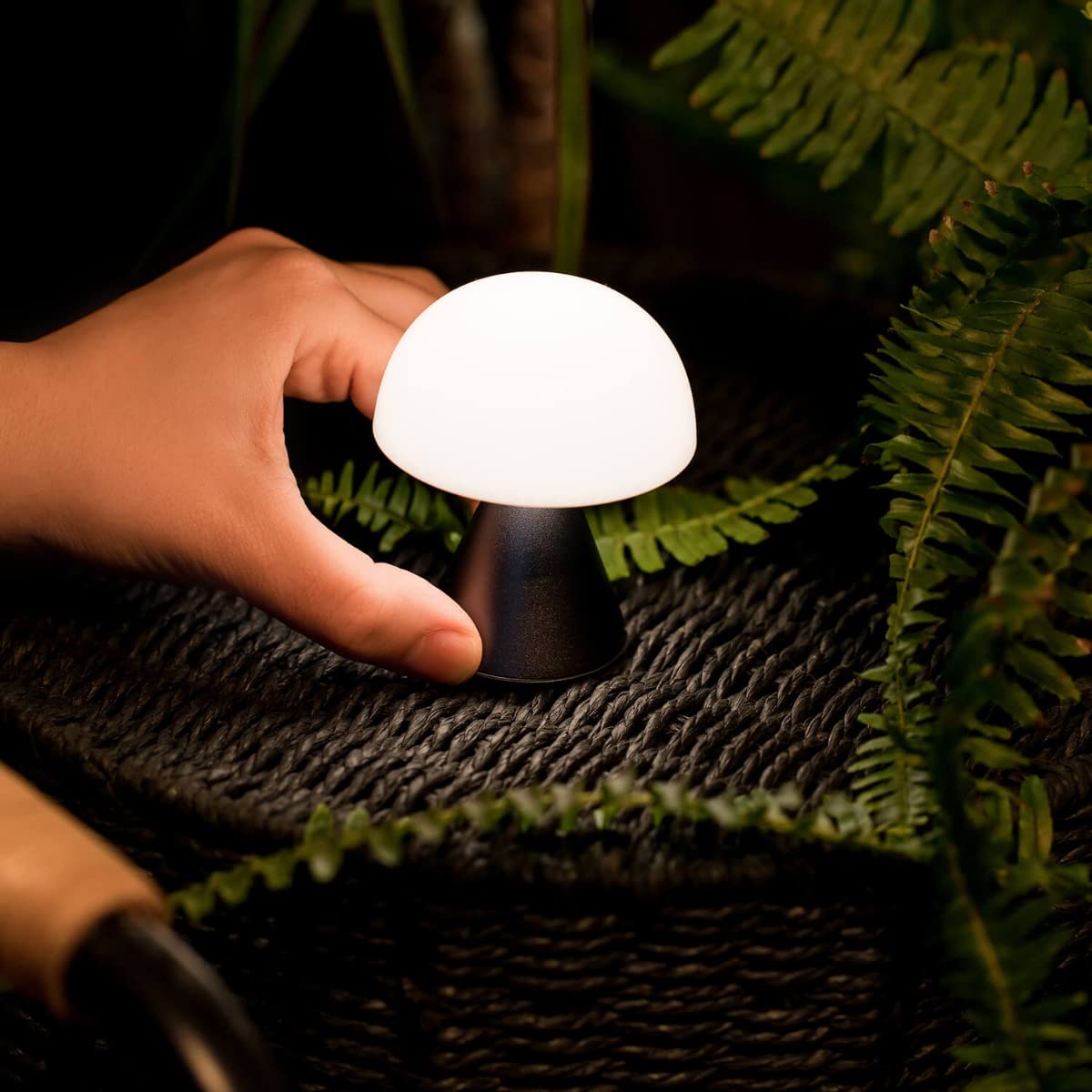 IZI Lexon Mina mini LED Lamp: 12hr Battery, Dual Light, USB-C - IZI