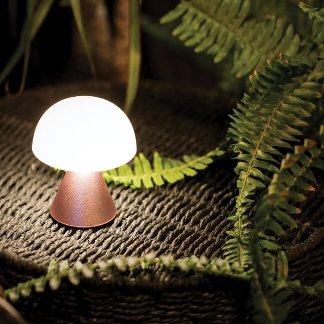 IZI Lexon Mina mini LED Lamp: 12hr Battery, Dual Light, USB-C - IZI